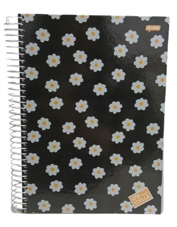 CADERNO C.D. 15X1 UMA STELLA
